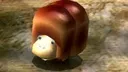 breadbug