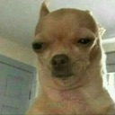 bruh2 Discord emoji