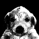 puppysadge puppysadge