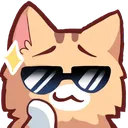 cooldude