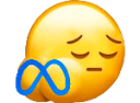 meta Discord emoji