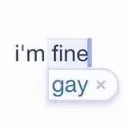 imfinegay
