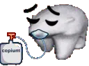 COPIUMBEAR COPIUMBEAR