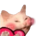 cuteboiheart