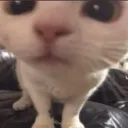 Got Games On Yo Phone Discord Emoji