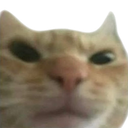 cat_Mad Discord emoji