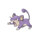 rat