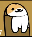 peek