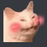 Catblush CatBlush Discord Emoji