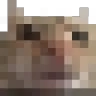 swagpixel