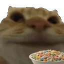 swagnom Discord Emoji