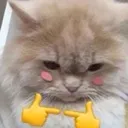 oo