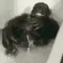 monkbathbomb