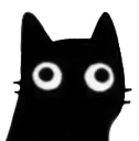derpkot derpkot
