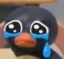 sadpengu