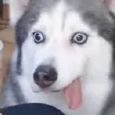 MTDDerp MTDDerp