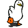 duck_waddle