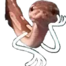 snek_hmm Discord Emoji