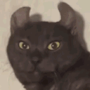 ch_meevinconfused Discord emoji