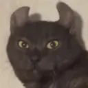 ch_meevinconfused