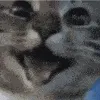 catSmileHappy