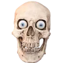 skullStare