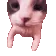 CatKiss