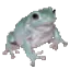 forg