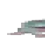 forg1 forg1