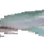 forg2