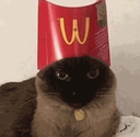 mcdonaldscato_dontsteal Discord emoji