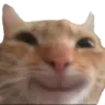 CatHappy