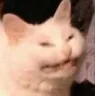 E_1