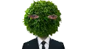 SadBush Discord Emoji