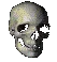 skull_rotate