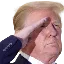 TrumpSalute