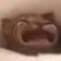 catscream