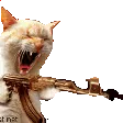 moeedCat