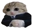 business_cat