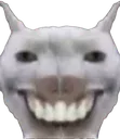 catstaringatyou