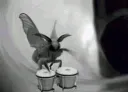 moth