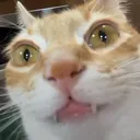 eh