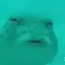 wutfish