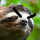 AngrySloth