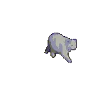 run