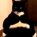 thefuckusay
