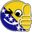 bosnia_spin