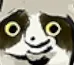 BombadgyStare