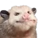 chomk