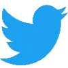 Twit